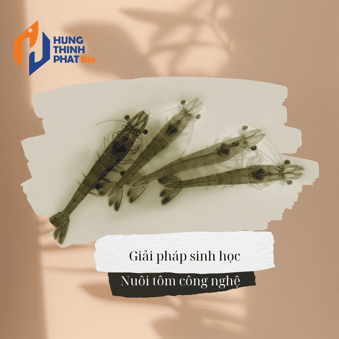 hungthinhphatbio.com